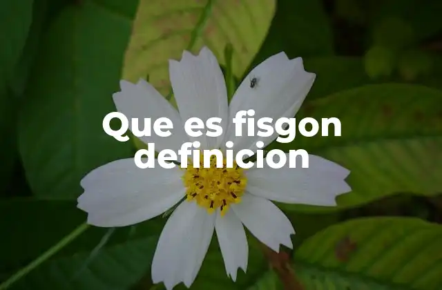 Que es Fisgon Definicion