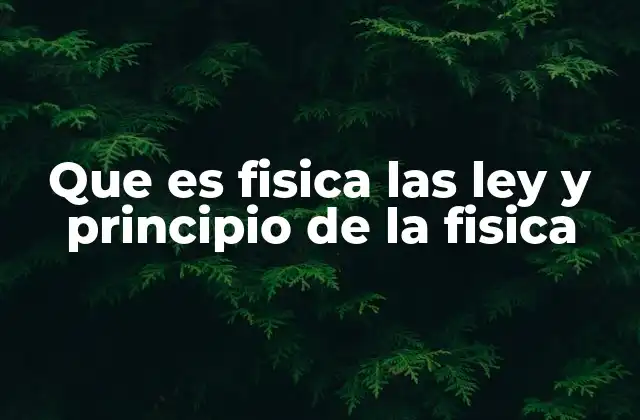 Que es Fisica las Ley y Principio de la Fisica