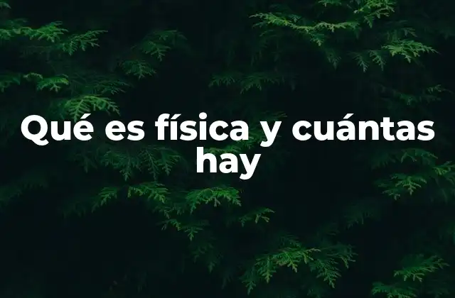 Qué es Física y Cuántas Hay