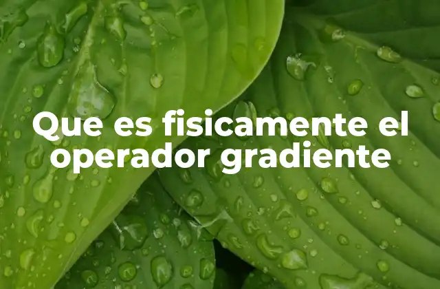 Que es Fisicamente el Operador Gradiente