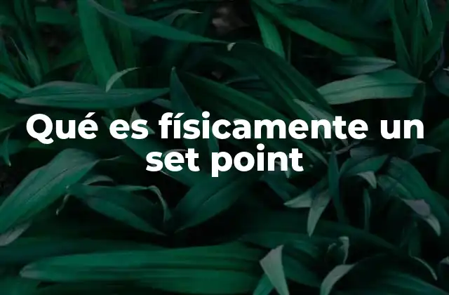 Qué es Físicamente un Set Point