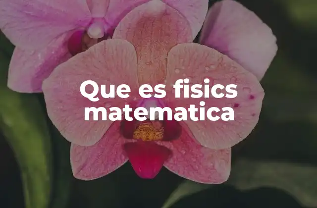 Que es Fisics Matematica