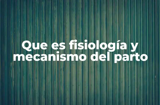 Que es Fisiología y Mecanismo Del Parto