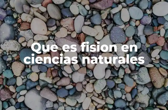 Que es Fision en Ciencias Naturales