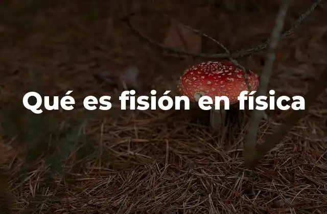 Qué es Fisión en Física
