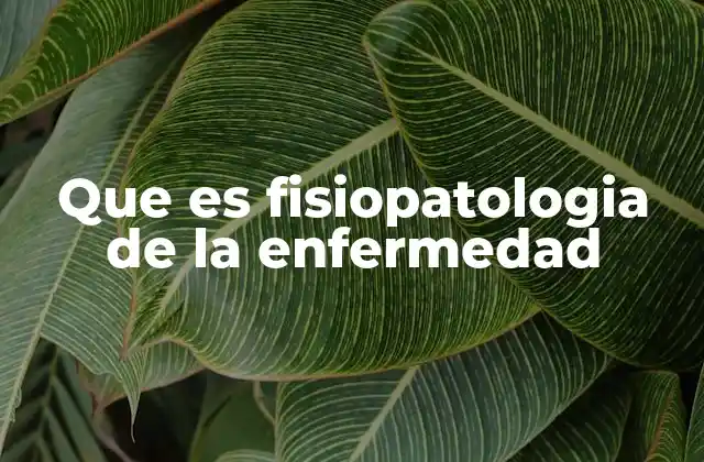 Que es Fisiopatologia de la Enfermedad