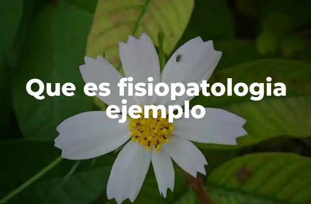 Que es Fisiopatologia Ejemplo