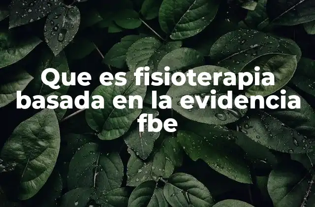 Que es Fisioterapia Basada en la Evidencia Fbe