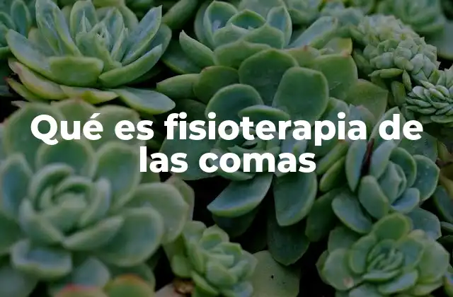 Qué es Fisioterapia de las Comas
