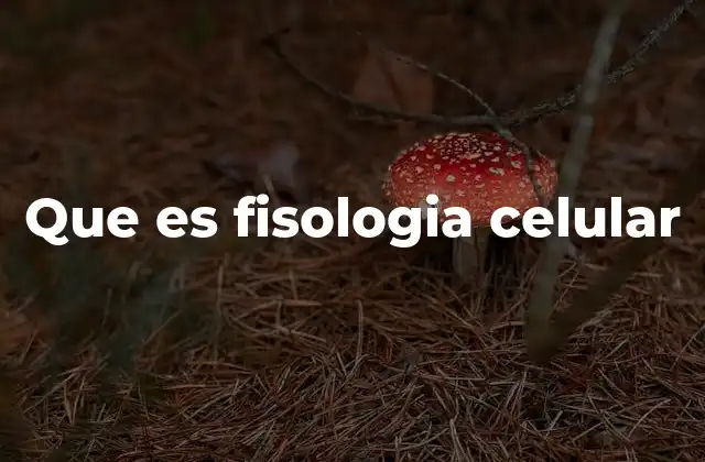 El funcionamiento interno de las células