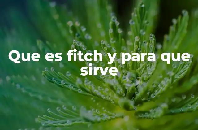 Que es Fitch y para que Sirve