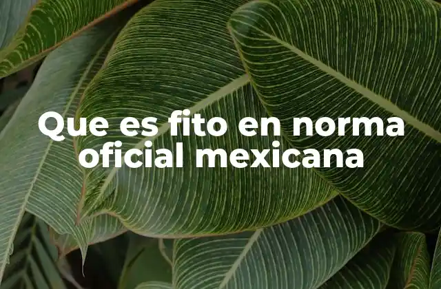 Que es Fito en Norma Oficial Mexicana