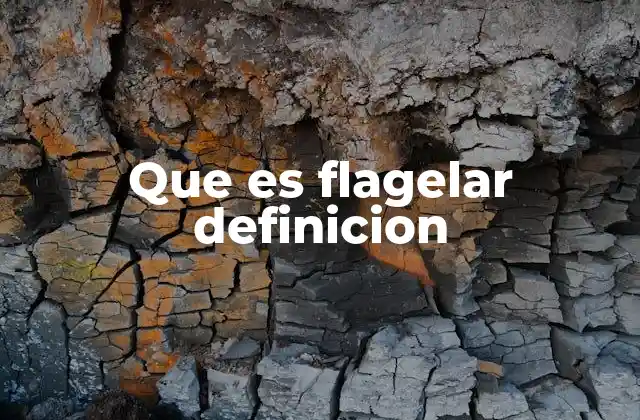 Que es Flagelar Definicion