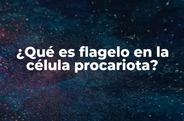 ¿qué es Flagelo en la Célula Procariota?