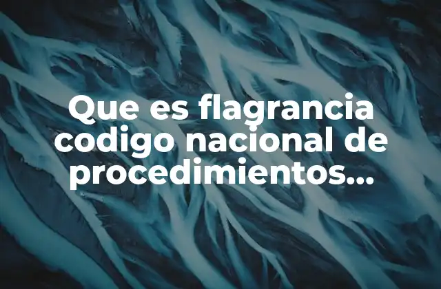 Que es Flagrancia Codigo Nacional de Procedimientos Penales