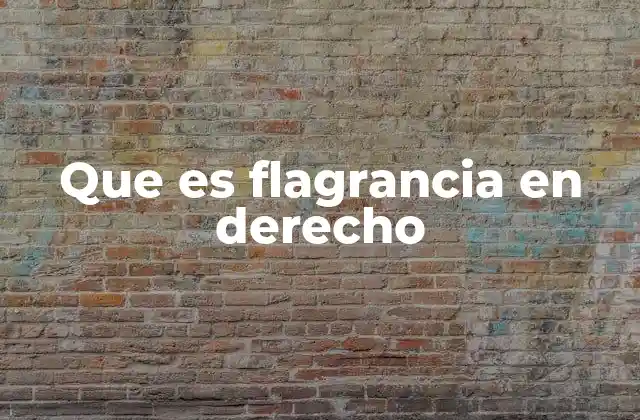 Que es Flagrancia en Derecho 2 La importancia de la flagrancia en el derecho penal