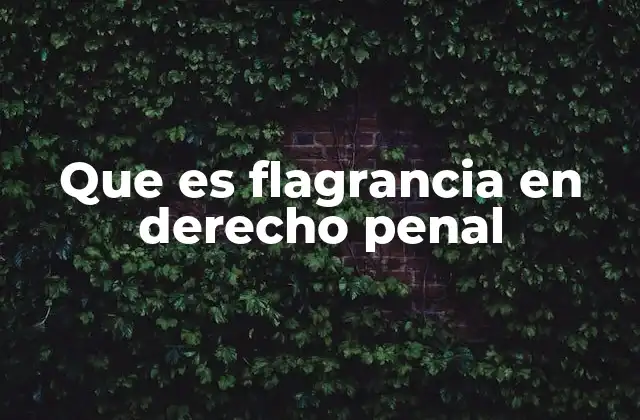 Que es Flagrancia en Derecho Penal