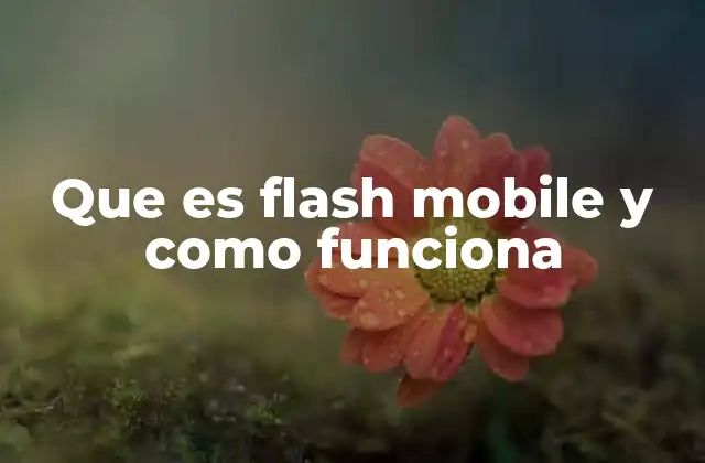 Que es Flash Mobile y como Funciona