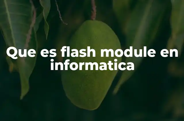 Que es Flash Module en Informatica