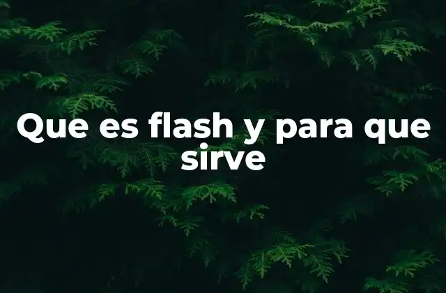 Que es Flash y para que Sirve