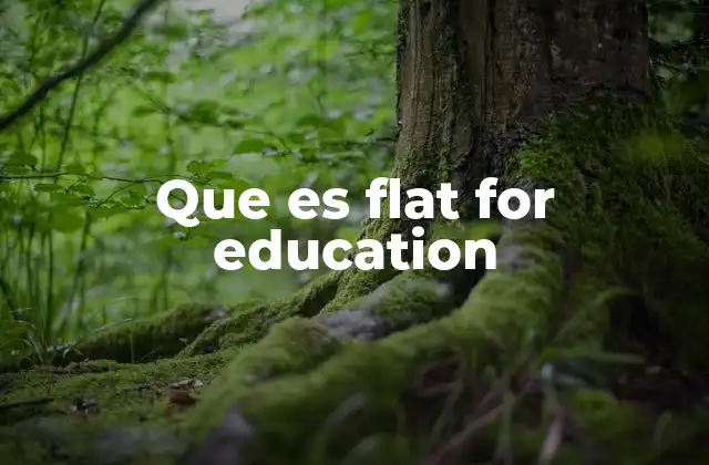 Que es Flat For Education