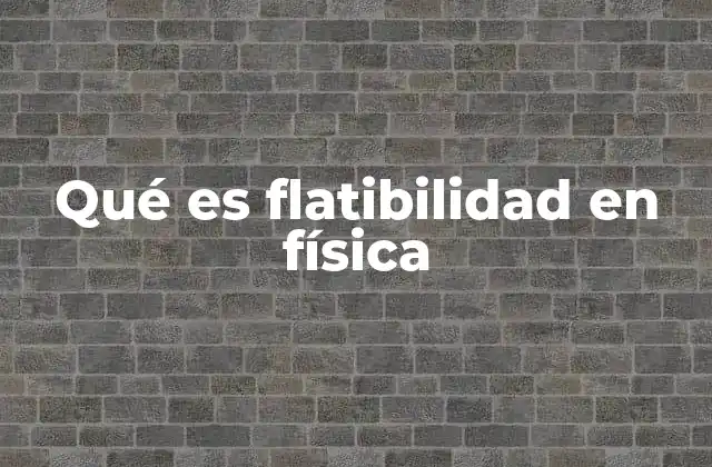 Qué es Flatibilidad en Física