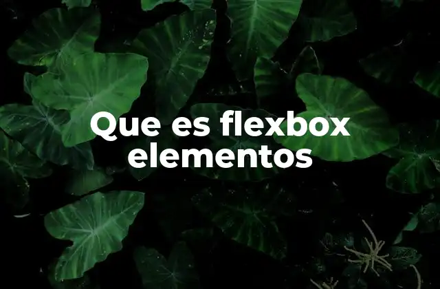 Que es Flexbox Elementos