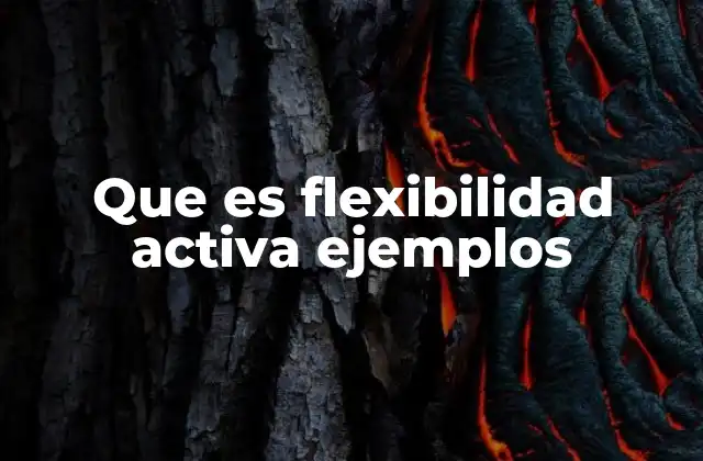 Que es Flexibilidad Activa Ejemplos