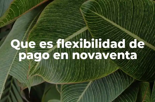 Que es Flexibilidad de Pago en Novaventa