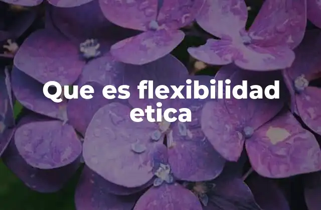 Que es Flexibilidad Etica