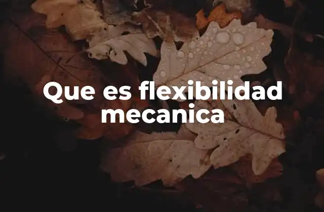 Que es Flexibilidad Mecanica