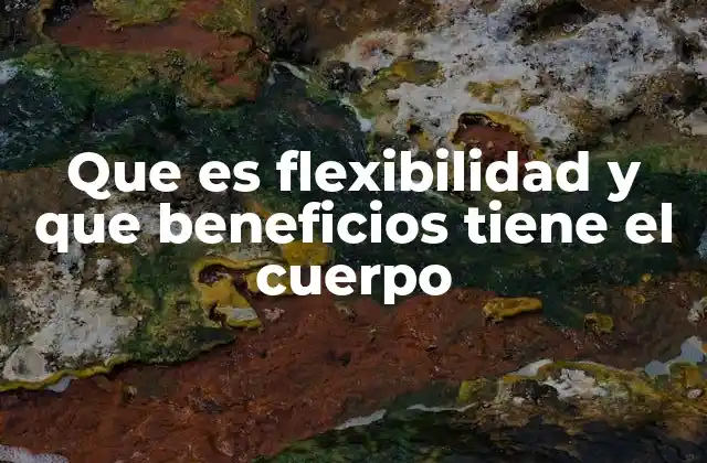 Que es Flexibilidad y que Beneficios Tiene el Cuerpo
