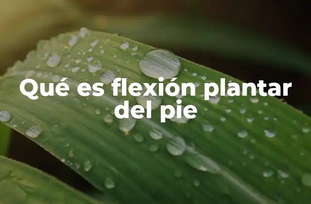 Qué es Flexión Plantar Del Pie