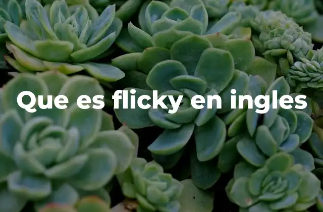 Que es Flicky en Ingles