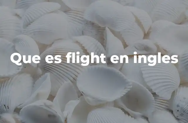 Que es Flight en Ingles