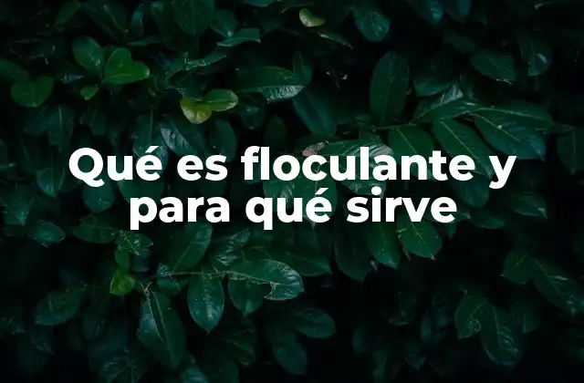 Qué es Floculante y para Qué Sirve 2 El papel de los floculantes en el tratamiento de aguas