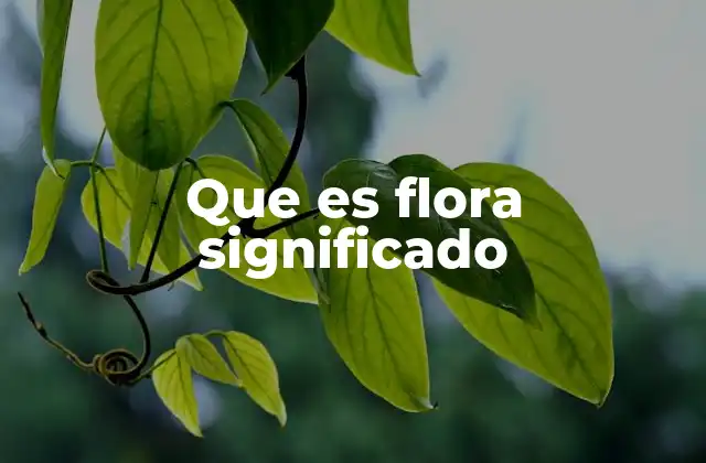 Que es Flora Significado
