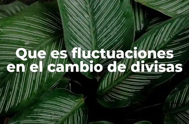 Que es Fluctuaciones en el Cambio de Divisas