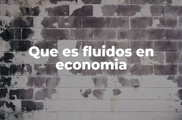 Que es Fluidos en Economia