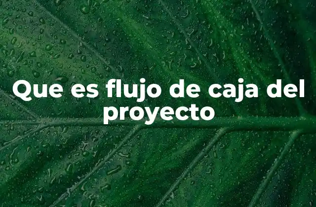 Que es Flujo de Caja Del Proyecto