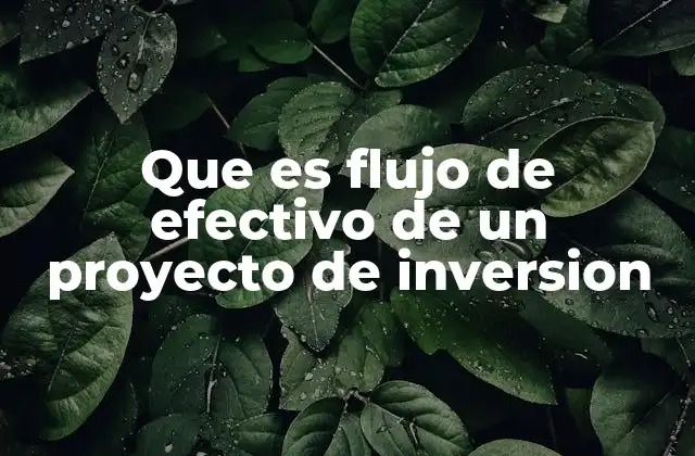 Que es Flujo de Efectivo de un Proyecto de Inversion 2 La importancia del flujo de efectivo en la toma de decisiones de inversión