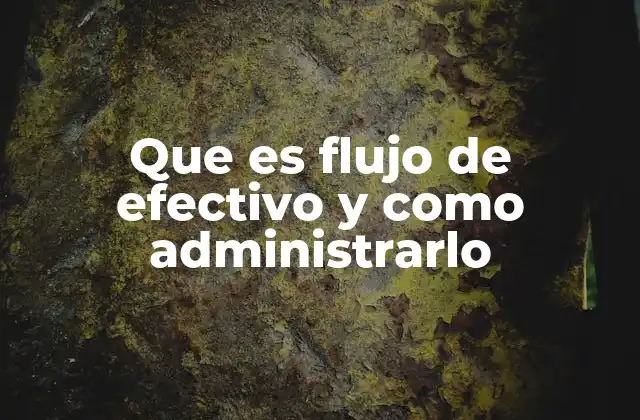 Que es Flujo de Efectivo y como Administrarlo