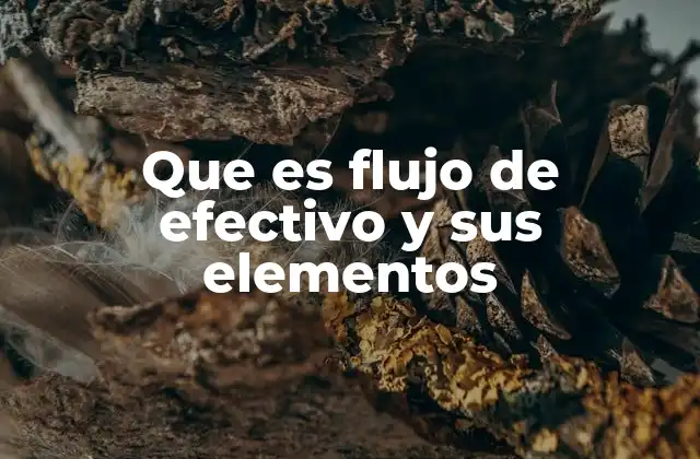 Que es Flujo de Efectivo y Sus Elementos