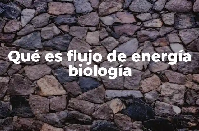 Qué es Flujo de Energía Biología