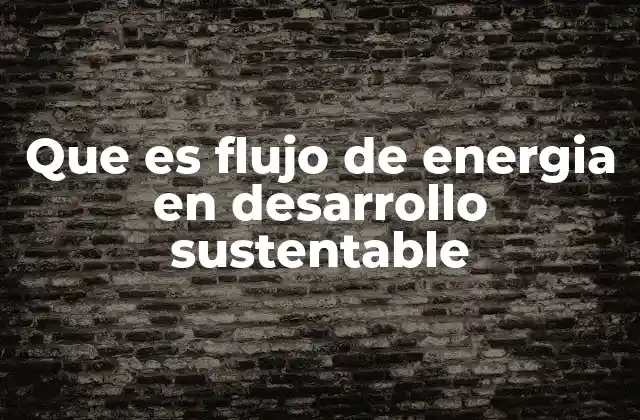 Que es Flujo de Energia en Desarrollo Sustentable