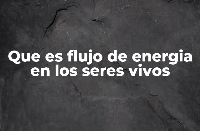 Que es Flujo de Energia en los Seres Vivos