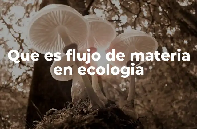 Que es Flujo de Materia en Ecologia