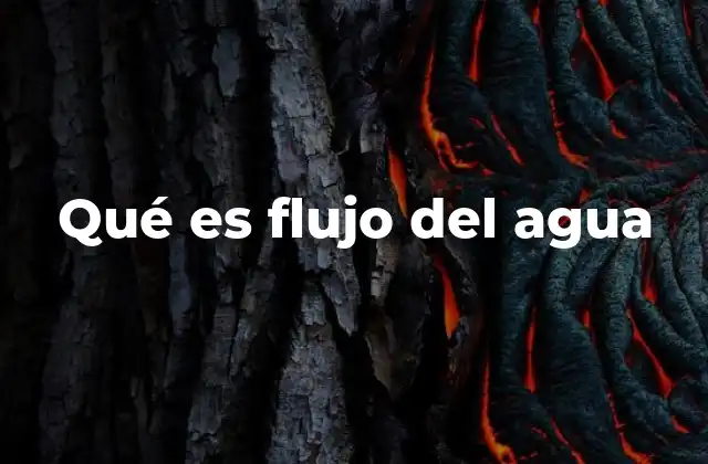 Qué es Flujo Del Agua
