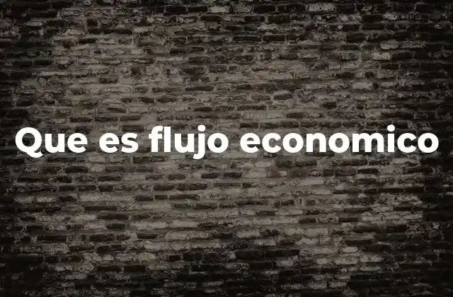 Que es Flujo Economico