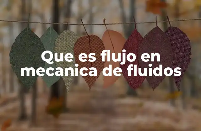 Que es Flujo en Mecanica de Fluidos